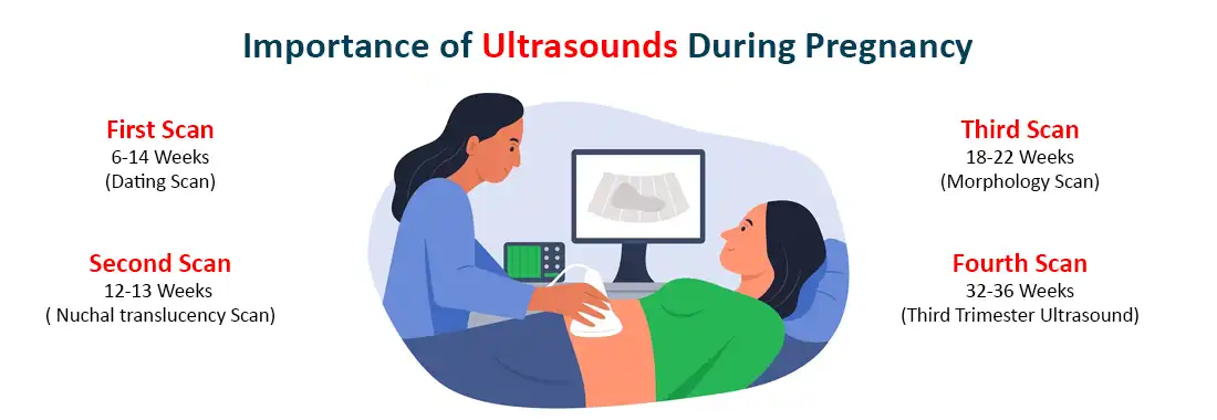 How Many Ultrasounds Do Pregnant Women Need During Pregnancy